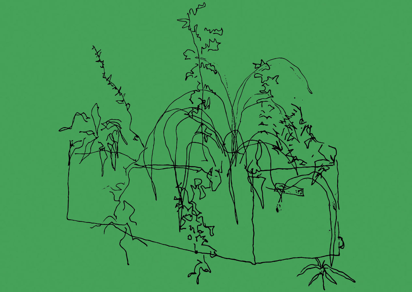 PLANTER